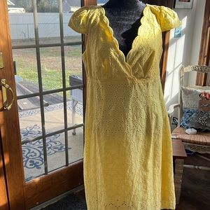 Laundry NWOT, Dress 12